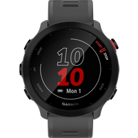 Aanbieding Garmin Forerunner 55 Grijs